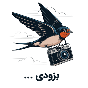 ماست بادمجان کبابی